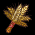 Grano